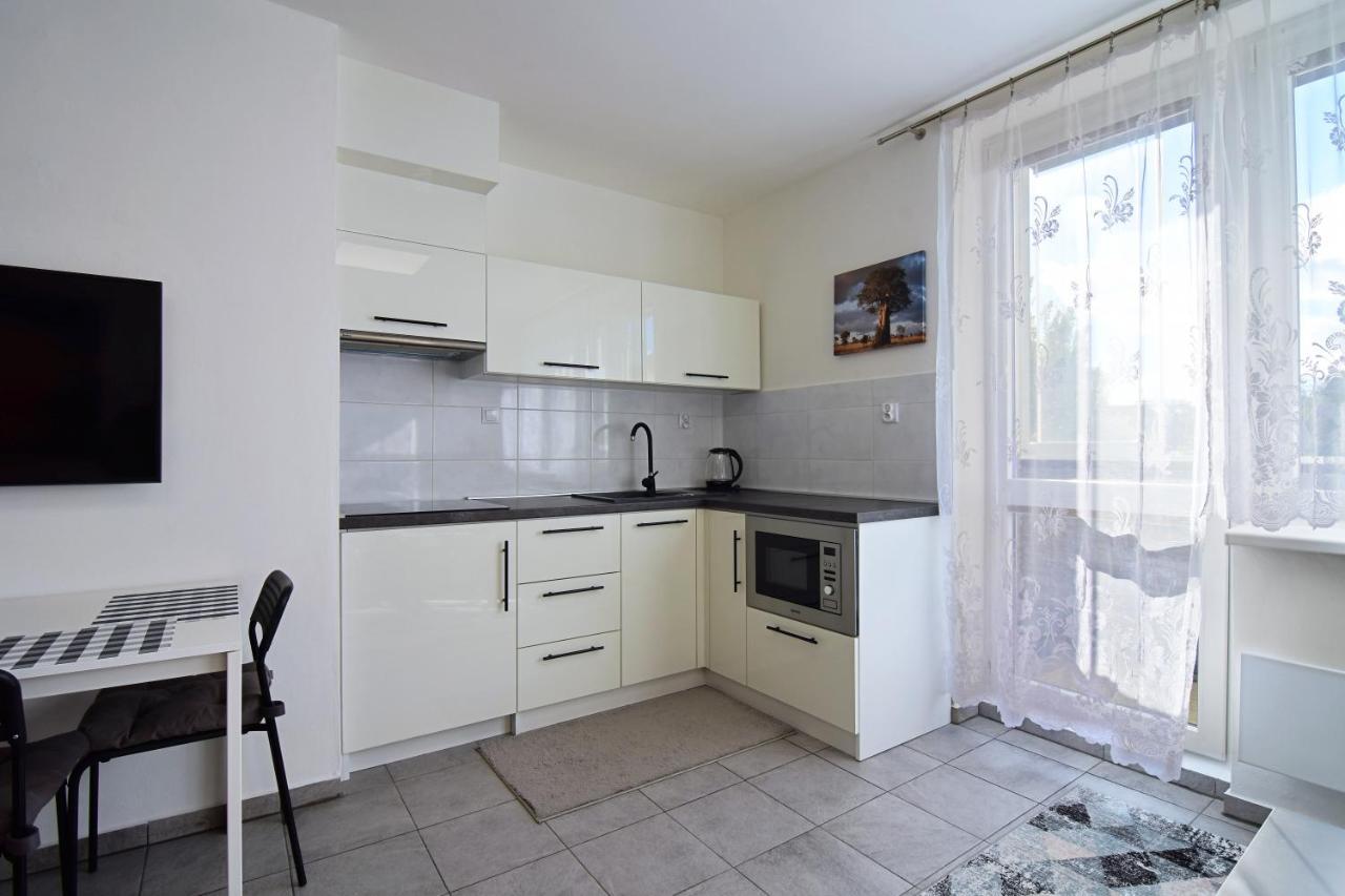 Apartman Nikola טרויאנוביצה מראה חיצוני תמונה